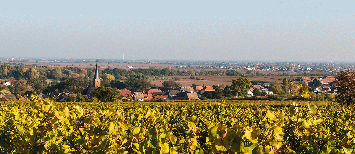 Forst an der Weinstraße