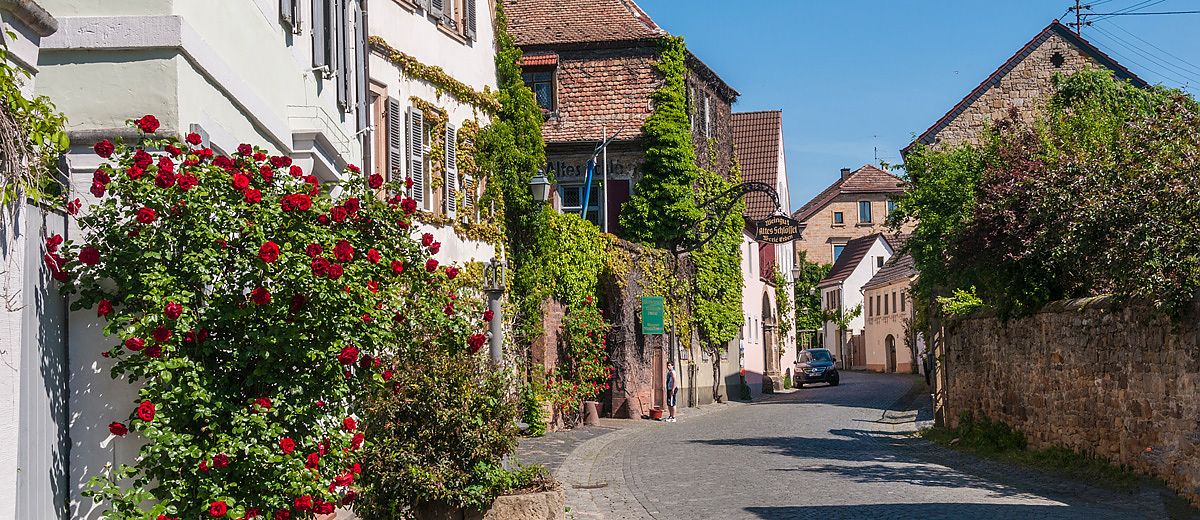 Gastgeber - Gaststätten in Forst