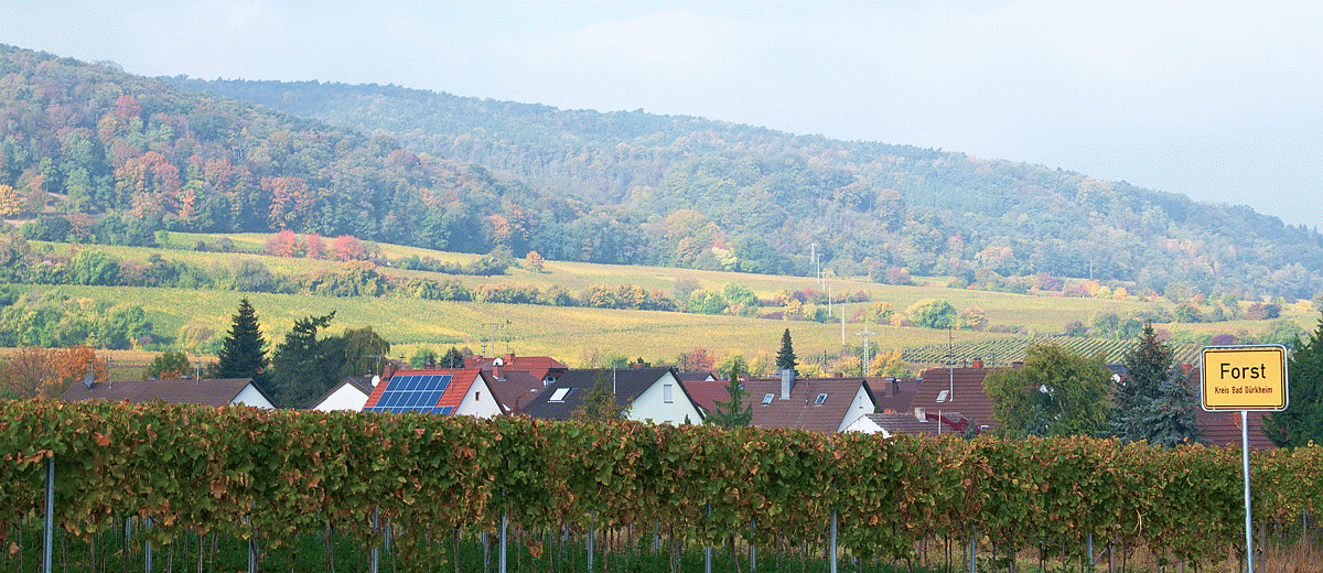 Forst an der Weinstraße