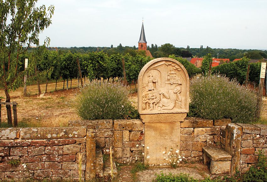 Weinlage Forster Kirchenstück