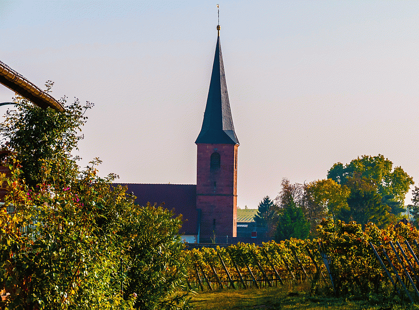 Dorfkirche von Forst