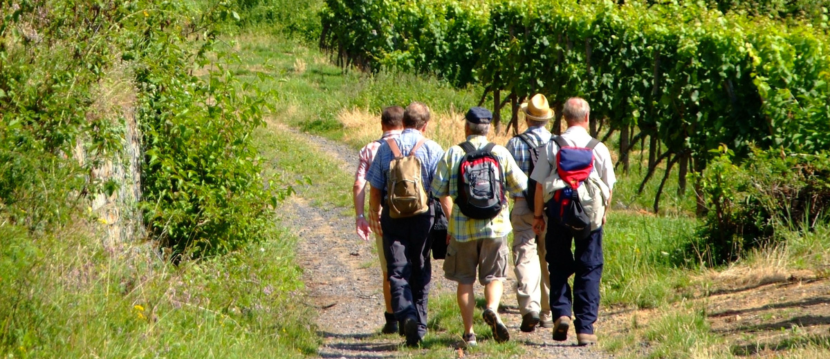 Forst an der Weinstraße / Urlaub in der Pfalz